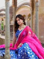 Raahi Blue Dola Silk Jacquard Anarkali Set