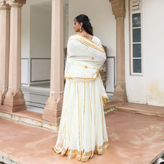 Naina Lemon Georgette Gota Work Lehnga Set