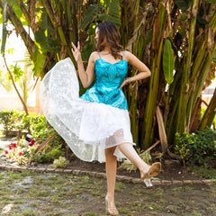 Daisy Blue Top with White Embroidered Skirt Dress