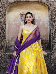 Gulmohar Yellow Dola Silk Jacquard Anarkali Suit Set
